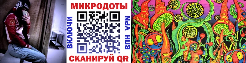 Галлюциногенные грибы Psilocybe  Купить  Новотитаровская 